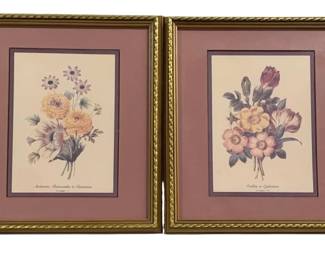 6659 - Pair Framed Prints - 13.5 x 16