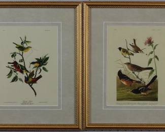 9084 - The Horseman Giclee by Roy Lichtenstein (Description): 24 X 19.59083 - Chestnut Colored Finch/ Painted Finch (Description): by John J. Audubon 14 X 16.5