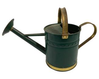 6764 - Metal Watering Can - 12 x 18