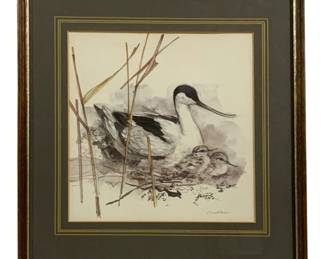 6844 - Framed "Duck" Print - 12.75 x 14.75