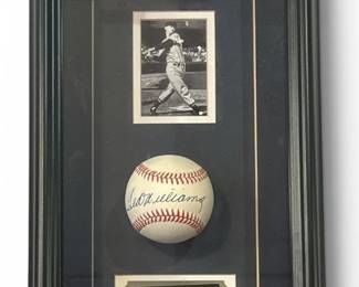 Autographed TED WILLIAMS Baseball Shadow Box, 500 Home Run Club 