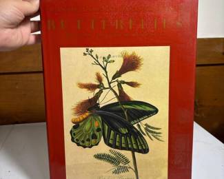 024 classicnaturalhistoryprintsbutterfli
