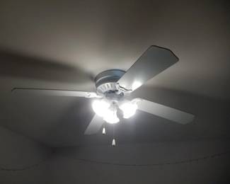 Lighted ceiling fan