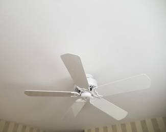 Ceiling fan
