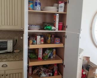 Kitchen feature: pantry with pull out shelves