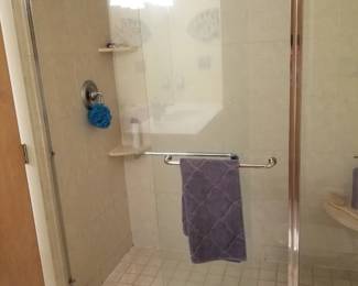 Glass shower doors