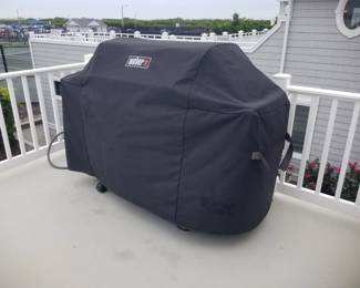 Weber NATURAL GAS grill