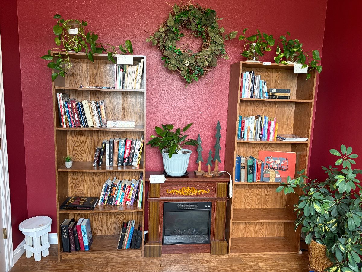 Books and bookcases