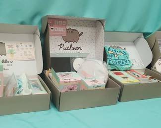 Pusheen Subscription Boxes
