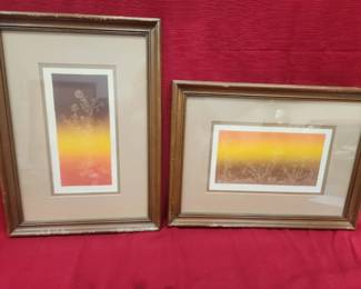 Matching pair of vintage framed botanical art prints