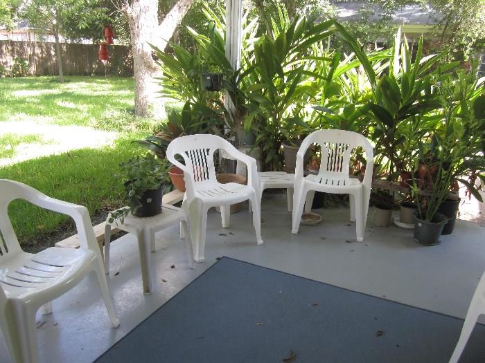 Plants, Lawnchairs