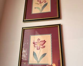 Pair of framed lily botanical prints