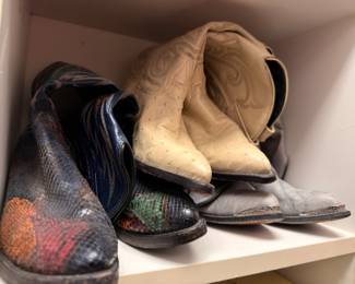 Exotic leather and snakeskin cowboy boots