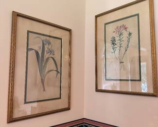 Pair of framed botanical prints