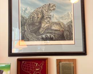 Framed snow leopard print and award plaques