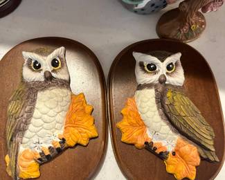 More owls