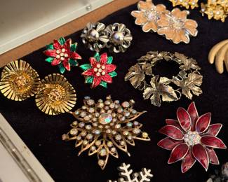Brooches, earrings, jewelry