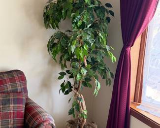 Tree