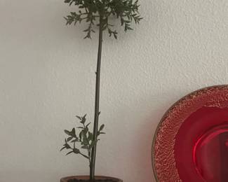 Decor