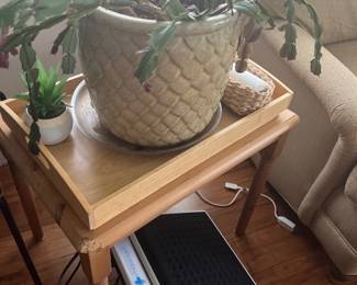 Cactus plant, side table