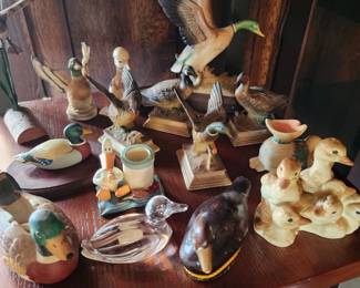 Duck collection 