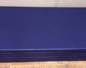 Orbring 5 Section Gym Mat!