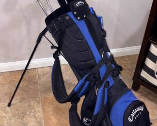 Callaway Divided Golf Bag w/Stand!