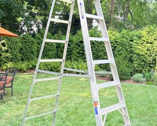  Werner 10’ 300 Lbs #310 Ladder