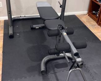 Icon Health & Fitness Adjustable Weight Bench w/Rack!