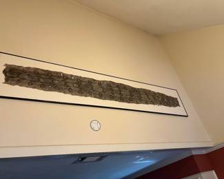 Framed Snake Skin!