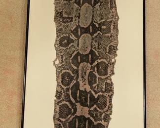 Detail of Snake Skin Boa
