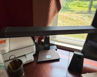 Mid Century Modern Gooseneck Desk Lamp