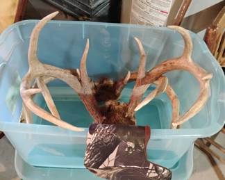 Antlers