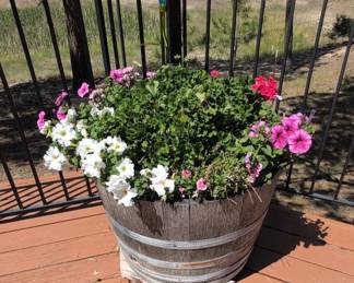 Wooden Barrel Planter with Assorted Flowers B