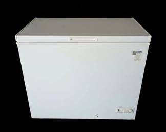 White Chest Freezer