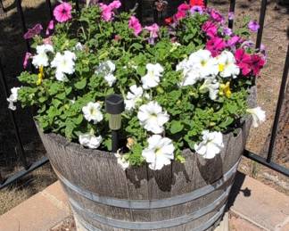 Wine Barrel Planter with Petunias