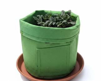 Fabric Grow Bags with Young Plants Set of second image