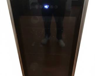 Koolatron Bottle Wine Cooler