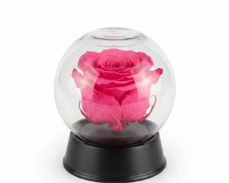 Preserved Rose in Glass Dome with LED Light and Music Box