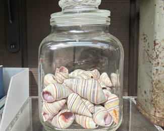 A glass jar with stopper, containing a collection of colorful Candy Cane Snail or Haitian Tree Snail shells