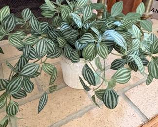 Artificial Watermelon Peperomia Potted Plant