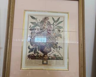 Robert Furber January Botanical Print  s Pierpont Morgan Library Reproduction