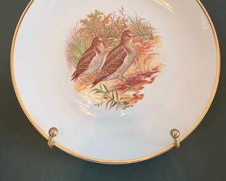 Vintage Game Bird Porcelain Decorative Plate  Woodcock