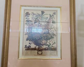 Robert Furber Botanical Print  December