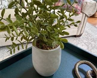 Artificial Boxwood Plant in Cement Pot