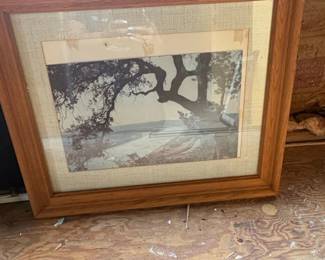 Vintage Oak Tree Landscape Photograph Print