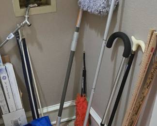 Rulers- Walking Canes