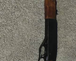 Winchester 22 - Model 250 Gun