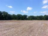 15+/- acres with 12 acres good tillable farmland. Currently rented to farmer who pays money rent of $115.00 per acre. Level to gently rolling with good blacktop road frontage.