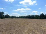 15+/- acres with 12 acres good tillable farmland. Currently rented to farmer who pays money rent of $115.00 per acre. Level to gently rolling with good blacktop road frontage.